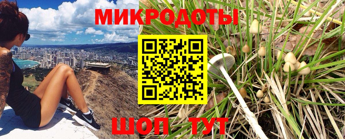 Галлюциногенные грибы ЛСД Соль-Илецк