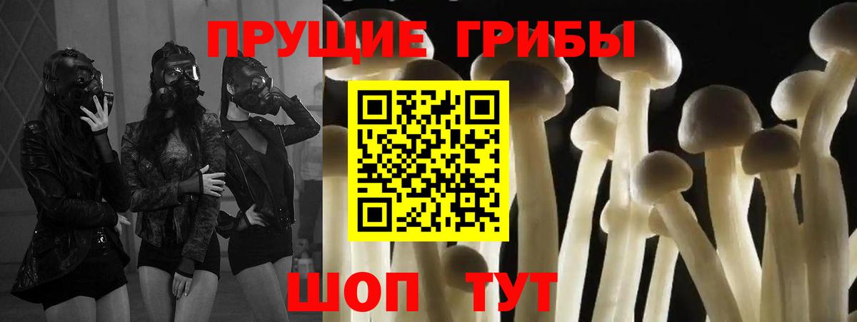 Соль-Илецк  Галлюциногенные грибы мухоморы  Вход с VPN 